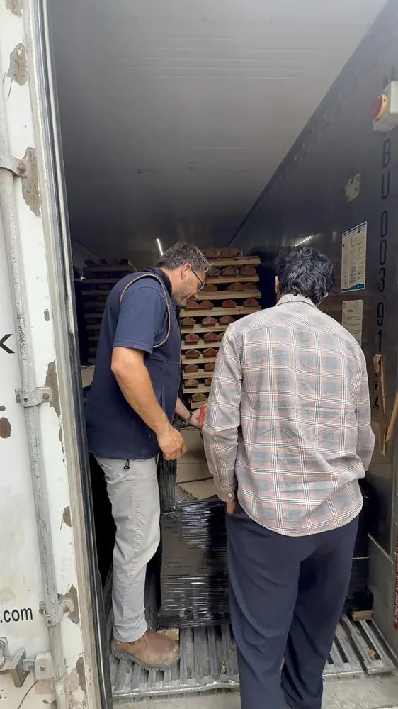 Clefts stacked in the container, ready to be packed